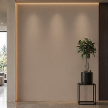 Bodaq PNC41 interior film rendered on a feature wall