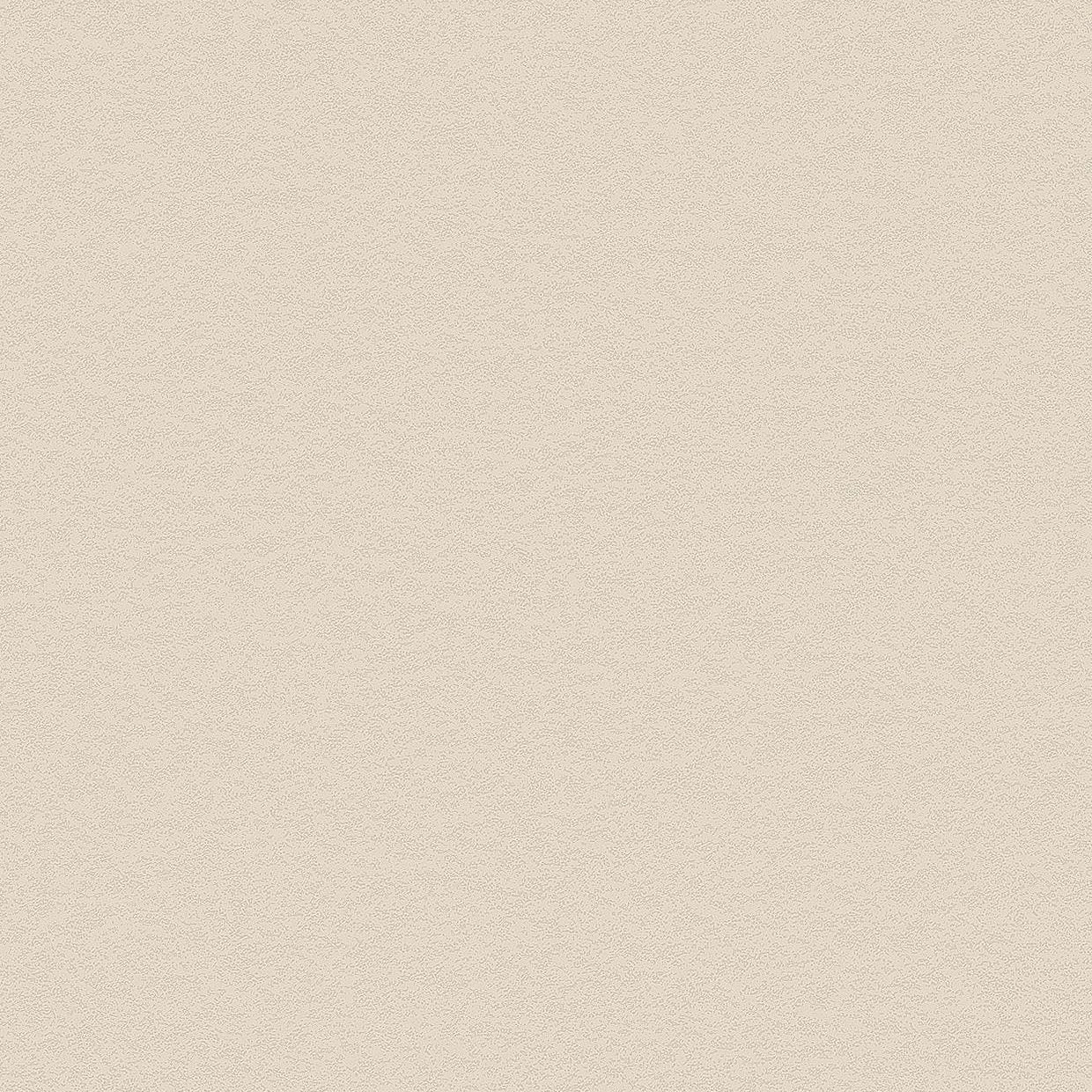 Bodaq PNC42 Stone Beige Concrete interior film swatch, Painted Concrete Collection