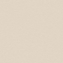 Bodaq PNC42 Stone Beige Concrete interior film swatch, Painted Concrete Collection