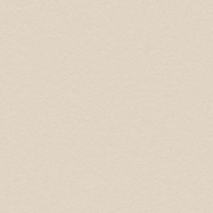 Bodaq PNC42 Stone Beige Concrete interior film swatch, Painted Concrete Collection