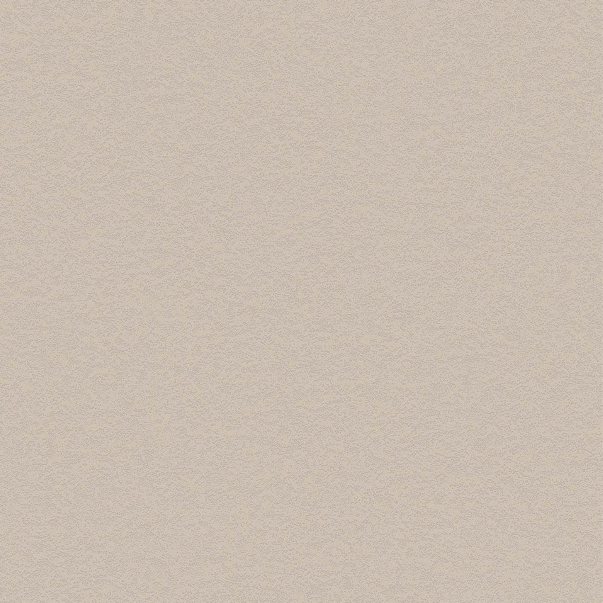Bodaq PNC43 Premium Painted Concrete interior film swatch, Basic Collection