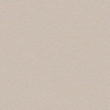 Bodaq PNC43 Premium Painted Concrete interior film swatch, Basic Collection