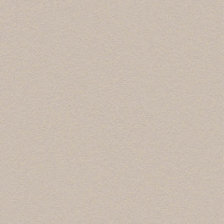 Bodaq® Painted Concrete Interior Film - PNC43 Premium Painted Concrete