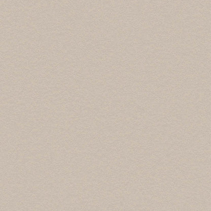 Bodaq PNC43 Premium Painted Concrete interior film swatch, Basic Collection