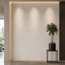 Bodaq PNC44 interior film rendered on a feature wall