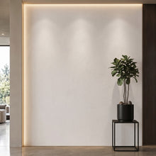 Bodaq PNC47 interior film rendered on a feature wall