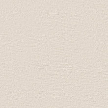 Bodaq PNC47 Slate Concrete interior film swatch, Painted Concrete Collection