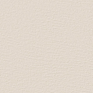 Bodaq® Painted Concrete Interior Film - PNC47 Slate Concrete