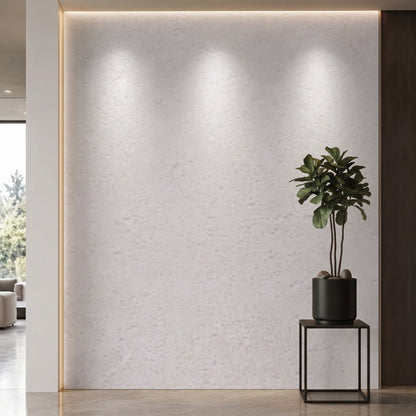 Bodaq PNC52 interior film rendered on a feature wall
