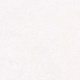 Bodaq® Painted Concrete Interior Film - PNC52 White Moonstone