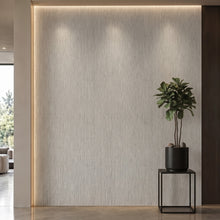 Bodaq PNT02 interior film rendered on a feature wall
