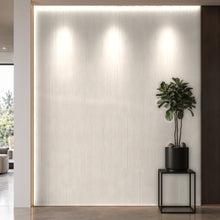 Bodaq PNT04 interior film rendered on a feature wall