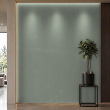 Bodaq PNT07 interior film rendered on a feature wall