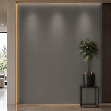 Bodaq PNT10 interior film rendered on a feature wall