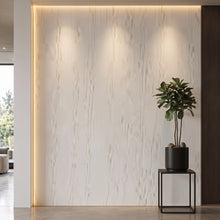 Bodaq PTW01 Painted interior film rendered on a feature wall