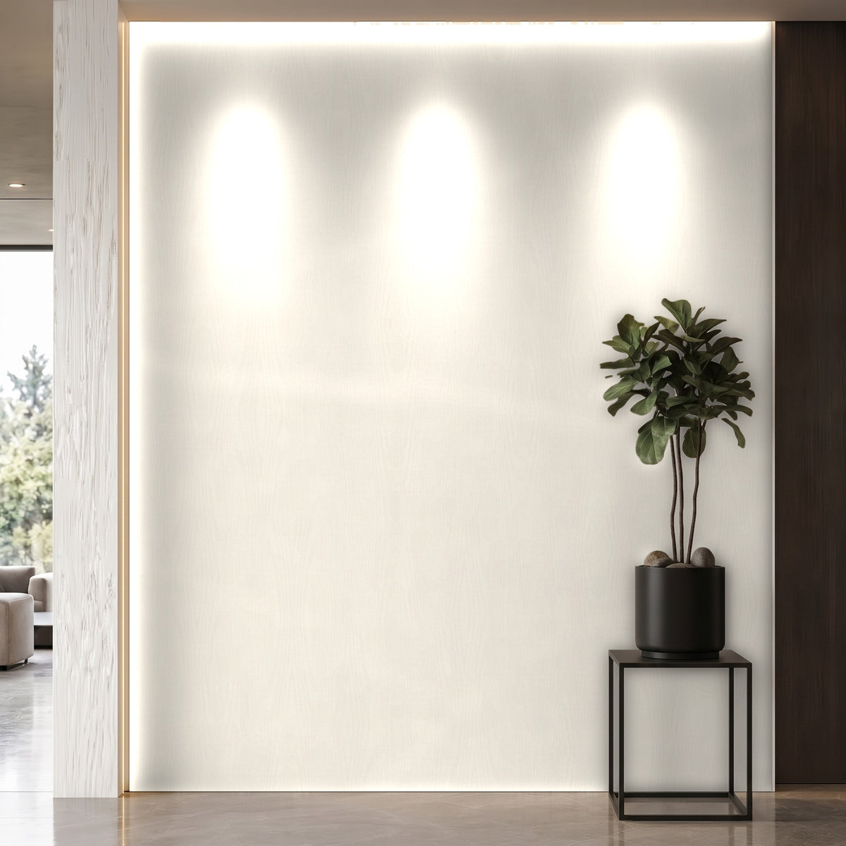 Bodaq PTW01 Painted interior film rendered on a feature wall