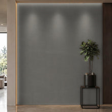 Bodaq PTW04 Painted interior film rendered on a feature wall