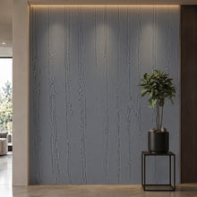 Bodaq PTW05 Painted interior film rendered on a feature wall