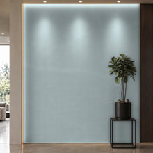 Bodaq PTW06 Painted interior film rendered on a feature wall
