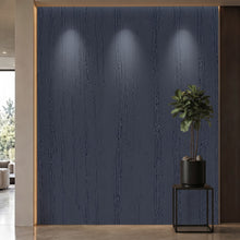 Bodaq PTW07 Painted interior film rendered on a feature wall