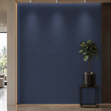 Bodaq PTW07 Painted interior film rendered on a feature wall