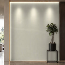 Bodaq PTW08 Painted interior film rendered on a feature wall