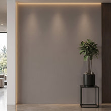 Bodaq PTW09 Painted interior film rendered on a feature wall