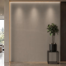 Bodaq PTW09 Painted interior film rendered on a feature wall