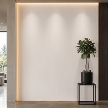 Bodaq PTW10 Painted interior film rendered on a feature wall