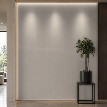 Bodaq PTW11 Painted interior film rendered on a feature wall