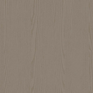 Bodaq® Painted Wood Interior Film - PTW12 Greige Wood