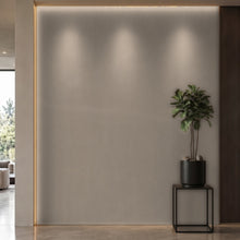 Bodaq PTW12 Painted interior film rendered on a feature wall