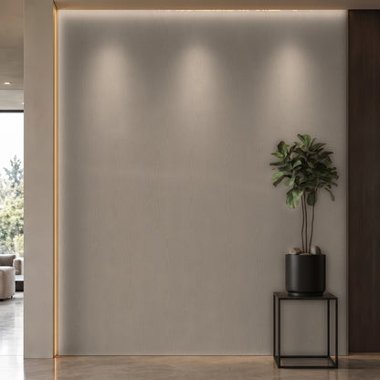 Bodaq PTW12 Painted interior film rendered on a feature wall