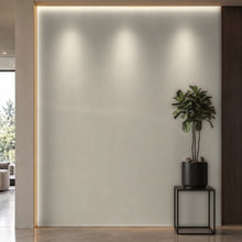 Bodaq PTW14 Painted interior film rendered on a feature wall