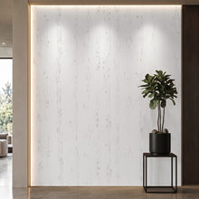 Bodaq PTW16 Painted interior film rendered on a feature wall