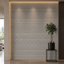 Bodaq RF001 interior film rendered on a feature wall