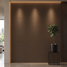 Bodaq S145 interior film rendered on a feature wall