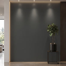 Bodaq S149 interior film rendered on a feature wall