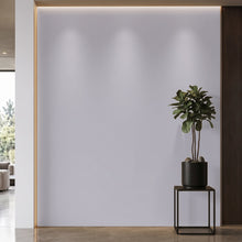 Bodaq S153 interior film rendered on a feature wall