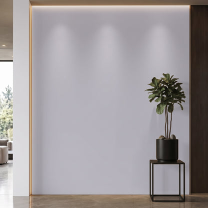 Bodaq S153 interior film rendered on a feature wall