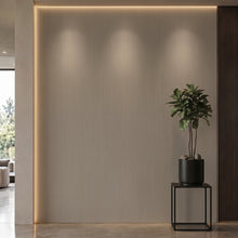Bodaq S156 interior film rendered on a feature wall