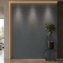 Bodaq S159 interior film rendered on a feature wall