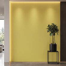 Bodaq S166 interior film rendered on a feature wall
