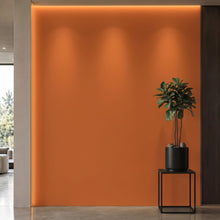 Bodaq S169 interior film rendered on a feature wall