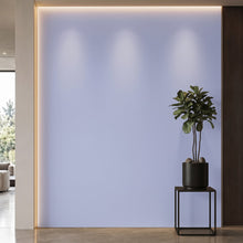 Bodaq S185 interior film rendered on a feature wall