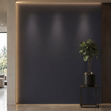 Bodaq S197 interior film rendered on a feature wall