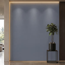 Bodaq S198 interior film rendered on a feature wall
