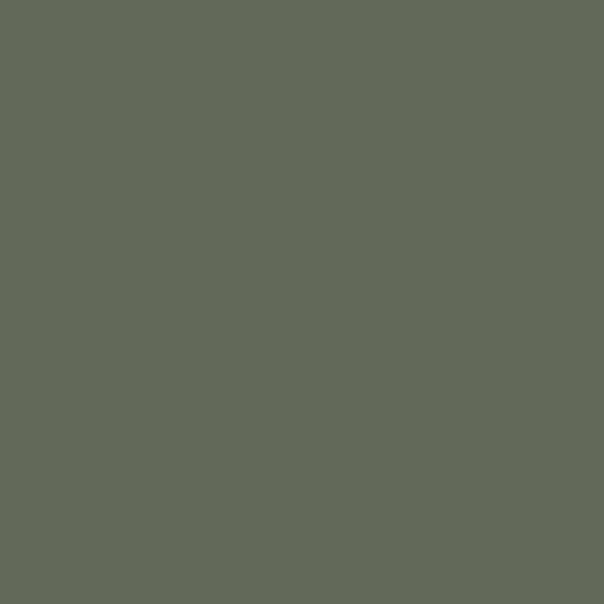 Bodaq S201 Artichoke Green interior film swatch, Solid Color Collection