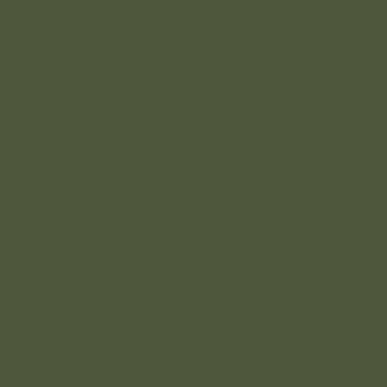 Bodaq S202 Moss Green interior film swatch, Solid Color Collection