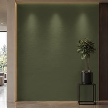 Bodaq S202 interior film rendered on a feature wall
